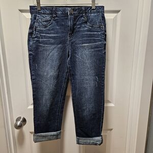 Democracy "ab" solution - size 10P